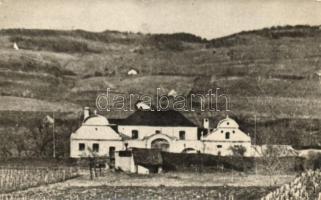 Balatonfüred udvarház, photo