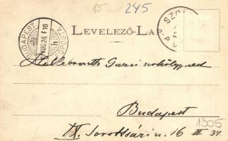 1899 Szolnok, Kossuth tér, Steiner Jakab fiai divatáruháza, vasútállomás; Szigeti H. udv. fényképész...