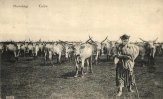 Hortobágy, gulya, Harmathy Pál kiadása