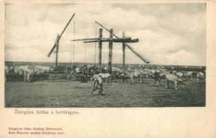 Hortobágy, ökörgulya itatáson, Pongrácz Géza kiadása, Kiss Ferenc eredeti fényképe után (EK)