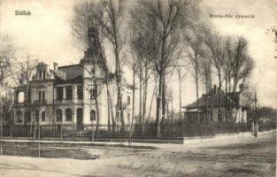 Siófok, Braun-féle nyaralók