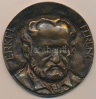 DN "Erkel Ferenc" Br plakett (109mm) T:1