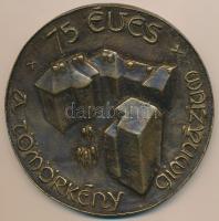 Szeged 1972. "75 éves a Tömörkény Gimnázium" Br plakett (104mm) T:2