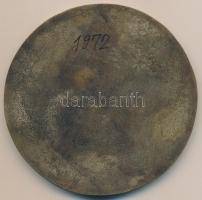 Szeged 1972. "75 éves a Tömörkény Gimnázium" Br plakett (104mm) T:2