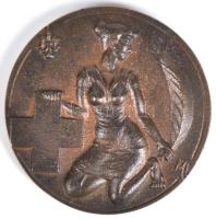 Mucza Lajos 1987. "A Magyar Vöröskereszt VII. Kongresszusa emlékére - Mezőtúr" Br emlékplakett (117mm) T:2