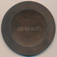 1970. "ZIM-Lampart Forrószeles Olvasztási Ankét Kecskemét" Br plakett (93mm) T:2