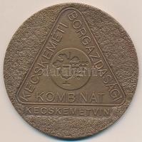 DN "Kecskeméti Borgazdasági Kombinát - Kecskemétvin" Br plakett (99mm) T:1-