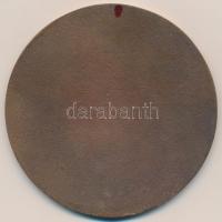 DN "Kecskeméti Borgazdasági Kombinát - Kecskemétvin" Br plakett (99mm) T:1-