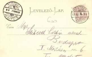 1899 Pöstyén, Parkrészlet a Vág partján / Vág riverside, park