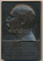 Szentgyörgyi István (1881-1939) DN "Herczeg Ferencnek - A híd szerzőjének 40 éves írói jubiléuma alkalmából a Magyar Királyi Vallás- és Közoktatásügyi Miniszter / Széchenyi István" Br plakett (71x50mm) T:2