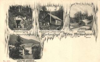 1903 Tátra, Barlangliget, Verlag von Sima A. No. 1270. / 'frosty' layout