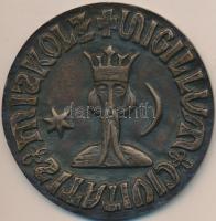 Varga Miklós (1928-) 1965. "600 éves Miskolc 1365-1965" Br emlékérem (91mm) T:2