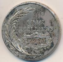 1925. "Debreczeni Ipartestület Alakult 1899 / Ipar Kiállítás 1925" ezüstözött Br emlékérem...