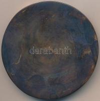 Vígh Tamás (1926-2010) 1994. "Vasvári Pál emlékérem" Br emlékérem (83mm) T:1-