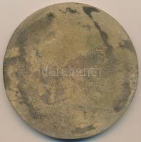 1978. "Mezőtúr 600 éves 1378-1978" Br emlékplakett (115mm) T:2