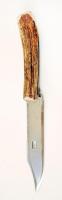 Agancs nyelű vadászkés, h:27 cm