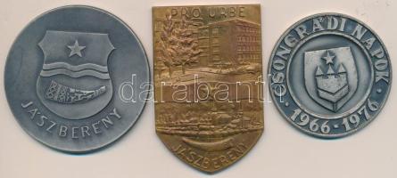 DN "Jászberény" ezüstözött Br plakett (70mm) + DN "Jászberény - A városért" Br plakett (81x52mm) + DN "Csongrádi Napok 1966-1976" ezüstözött Br plakett (60mm) T:2