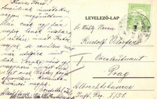 Alsópéterfa, Unterpetersdorf; Katolikus népiskola, templom, községi vendéglő; kiadó Bokor Gyula fény...