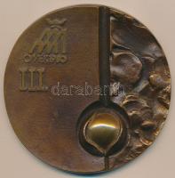 Csíkszentmihályi Róbert (1940-) 1980. "OMÉK III. díj / 69. Országos Mezőgazdasági és Élelmiszeripari Kiállítás és Vásár Budapest" öntött Br díjérem (78mm) T:2