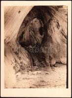 Bihar kapu barlang Erdélyben fotó 8x12 cm