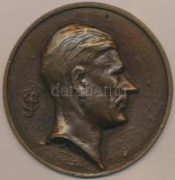Sóváry János (1895-1966)DN "Önarckép" Br plakett (89mm) T:2