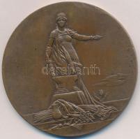 Exner Károly (1850-1919) DN "Álló Hungaria" Br érem, szigno nélkül (56mm) T:2-