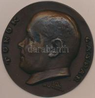 Edvi Illés György (1911-) 1941. "Török Gáspár" Br plakett (76mm) T:2