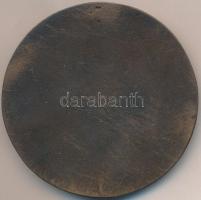 Edvi Illés György (1911-) 1941. "Török Gáspár" Br plakett (76mm) T:2