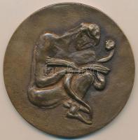 DN "Bács-Kiskun Megye Egészségügyéért" Br érem (98mm) T:2