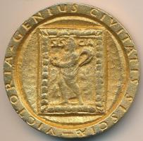 Horvátország DN "Sziszek / Victoria genius civitatis Siscia" aranyozott Br érem (66mm) T:2...