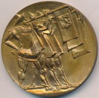 Kiss Nagy András (1930-1997) DN "Szeged Fesztivál" Br érem (50mm) T:2