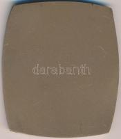 Kiss Nagy András (1930-1997) DN "Magyar Bélyeggyűjtők Országos Szövetsége Budapest" Br pla...