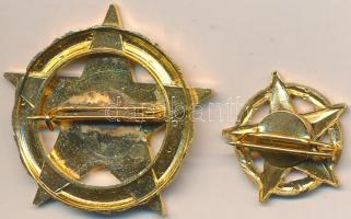 1973. "A Belkereskedelem Kiváló Dolgozója" aranyozott zománcozott kitüntetés miniatűrrel é...