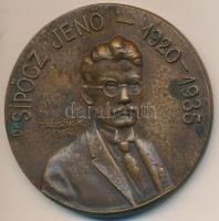 Törzsök Károly (1906-1964) 1935. "Dr Sipőcz Jenő 1920-1935 / Fővárosi Alkalmazottak Nemzeti Szövetsége" Br emlékérem (61mm) T:2