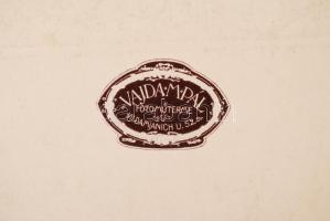 1926 Josef Lhévinne (1874-1944) orosz pianista portréja, Lhévinne által Komor Vilmos (1895-1971) kar...