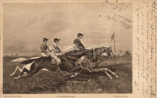 Steeplechase, horse race