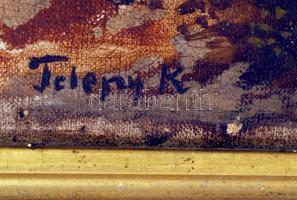 Telepy jelzéssel: Hegyi patak. Olaj, sérült vászon, sérült keretben, 64×32 cm