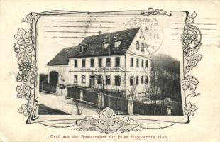 Bamberg, Restauration zur Prinz Rupprecht's Höh / restaurant, grapes (b)