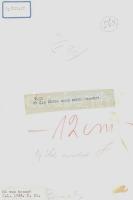 1934 "Mi van benne?", sajtófotó, Új idők folyóirat, hátulján feliratozva, 23×17 cm