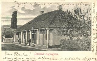 Algyógy, villa, Adler