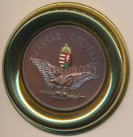 DN "Magyar Honvédség" Br plakett aranyozott keretben, eredeti tokban T:1