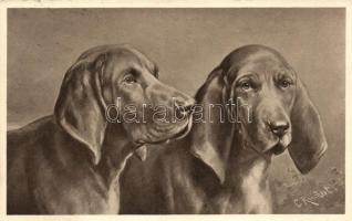 Dogs, TSN Serie 1373. s: C. Reichert (EK)