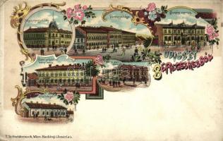 Beregszász, Pénzügyigazgatóság, állami polgári leányiskola, Hitelintézet, Vármegyeház, Termény csarnok / Financial palace, girl school, bank, county hall, shop, floral Art Nouveau litho (EK)