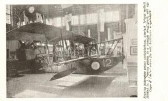 Francia hidroplán (olasz szolgálatban), amelyet Trieszt mellett lőttünk le /French hydroplane shot by the Hungarian; 'Haditudósító Kiállítás' So. Stpl