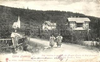 Tátralomnic, Evangélikus templom és nyaralók: Dr. Magyar László és Gróf Bissingen, Feitzinger Ede No. 919. / church, villas (EK)