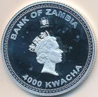 Zambia 2001. 4000K Ag "Természetvédelem - Oroszlán" T:PP Zambia 2001. 4000 Kwacha Ag "Wildlife Protection - Lion" C:PP