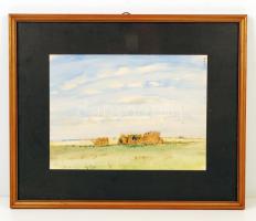 Olvashatatlan jelzéssel: Szénakazal a réten. Akvarell, papír, jelzett, üvegezett keretben, 29x22 cm