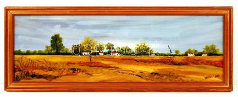 Tavaszy Noémi: Tanyavilág. Olaj, farost, jelzett, fa keretben, 49x16 cm