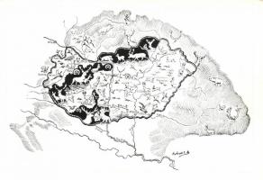 Vadászat Magyarországon / Shooting in Hungary, map s: Schell J.