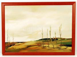 Szabados János (1937-): Kopár vidék. Olaj, farost jelzett, sérült keretben, 50×70 cm
